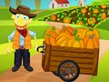 Pumpkin Patch
