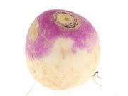 Turnip Turnip