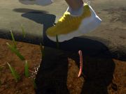 Worm