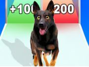 Dog Evolution Run