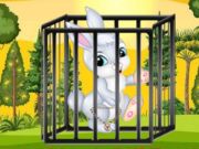 Trapped Hare Tales