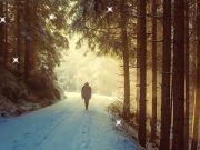 Winter Hidden Stars