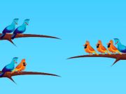 Bird Sort 