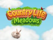 Country Life Meadows Country Life Meadows