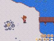 The Cozy Fishing