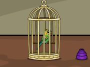Green Budgie Escape