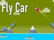 Fly Car