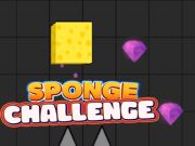 Sponge Challenge