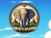 Weight Of Elephants