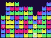 Cat Fun