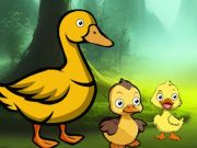 Duck Family Reach Pond Duck Family Reach Pond