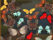 MergeButerfly: 2048!