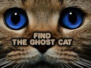 Find the Ghost Cat