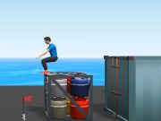 Flip Master