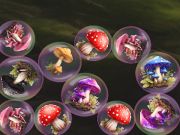 MergeMushrooms: 2048!