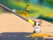 Cat Challenge