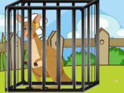 Hop to Freedom