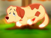 Help to the Injured Pet Dog