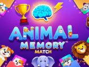 Animal Memory Match