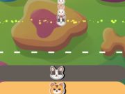 Crazy Animals