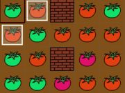 Paint Tomato