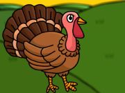 Rescue the Forest Turkey from Cage