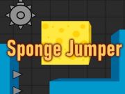 Sponge Jumper
