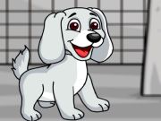 Rescue the White Puppy from Cage