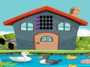 Duck House Escape
