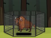 Rescue the Bison from Cage