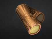 Stonecraft