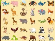 Discover Animals