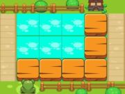 Frogs Find The Path