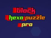Block Hexa Puzzle Pro