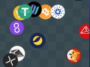 Crypto Detective Finder
