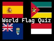 World Flag Quiz