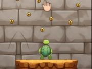 Turtle Coaster
