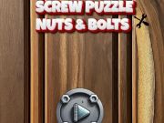 Screw Puzzle : Nuts & Bolts