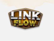 Link Flow