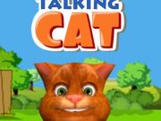 Talking Cat