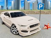 Car Simulator 3D