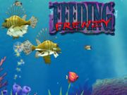 Feeding Frenzy