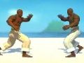 Capoeira fighter