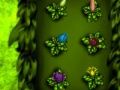 Plants Hate Insect