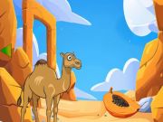 Camel Looking For Her Young