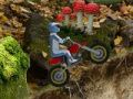 Extreme mountain biking