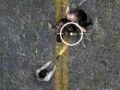 Undead Highway
