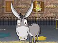 Donkey Gafoor Donkey Gafoor