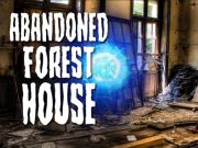 Abandoned Forest House