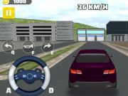 The Long Drive